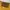 Ozone Community Vintage Streetwear Jeans Pria yellow photo 3