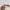 Louis Vuitton Y2K Luxury Clutch Wanita multicolor white photo 4