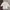 Casual Bomber jacket Wanita white photo 1