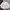 Casual Bomber jacket Wanita white photo 4