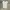 H&M Casual Blouse Wanita white photo 1