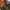 Vintage Trench coat Wanita green orange photo 5