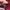 SUPER LOVERS Vintage Streetwear Track jacket Wanita red photo 6