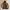 Vintage Y2K Bomber jacket Pria brown photo 4
