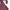 Sportswear Casual T-shirt Wanita burgundy photo 4