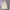 Fieldcore Streetwear Sportswear Puffer jacket Pria white tan photo 1