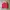 Burberry Streetwear Casual Harrington jacket Pria red photo 1