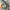Japanese brand Streetwear Sportswear Bomber jacket Pria multicolor photo 4