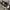 Converse Streetwear Skater Sneakers Pria black photo 1