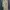 Vintage Casual Trench Coat Wanita Tan