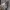 Vintage Casual Trench coat Wanita pink photo 8