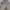 Vintage Casual Trench coat Wanita pink photo 5