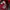 Nike Casual Fleece Pria red black photo 4
