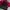 Nike Casual Fleece Pria red black photo 2