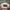 Casual Hat Pria white red photo 2