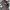 Reebok Vintage Streetwear Hat Pria Gray