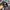 Reebok Vintage Streetwear Hat Pria gray photo 4
