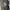 Reebok Vintage Streetwear Hat Pria gray photo 5