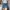 Grunge Reworked Mini skirt Wanita multicolor navy photo 5