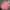Casual Sweatshirt Wanita pink photo 1