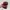 Luxury Casual Loafer Pria burgundy photo 5