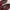 Luxury Casual Loafer Pria burgundy photo 4