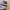 Nike Air Jordan Casual Sneakers Wanita purple photo 2