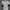 Adidas Sportswear Casual T-shirt Pria white photo 1