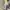 GAP Fairy Midi dress Wanita white photo 1
