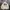 Stussy Casual Hoody Pria tan cream photo 1
