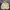 Stussy Casual Hoody Pria tan cream photo 2