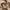 Stussy Casual Hoody Pria tan cream photo 4