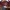L.L.Bean Casual Casual shirt Pria burgundy photo 3