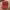 Vintage Y2K Hat Pria red photo 2