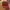 Vintage Y2K Hat Pria red photo 5