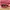 Vintage Y2K Hat Pria red photo 6