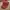 Vintage Y2K Hat Pria red photo 1