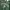 Vintage Streetwear Polo shirt Pria green photo 2