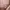 Fairy Coquette Going out dress Wanita pink photo 2