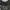 Japanese brand Grunge Goth Maxi dress Wanita black gray photo 3