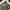 SLY Grunge Parka Pria green photo 7