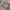 Japanese brand Vintage Y2K Casual shirt Pria cream photo 4