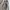 Japanese brand Vintage Avant Garde T-shirt Pria tan photo 5