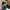 VANS Casual Sneakers Pria multicolor photo 3