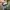 VANS Casual Sneakers Pria multicolor photo 4