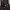 Dickies Gorpcore Casual Windbreaker Pria black photo 6