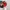 Made in USA Vintage Streetwear Hat Pria red photo 2