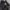 NEPA Gorpcore Casual Windbreaker Pria black photo 4