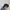 MLB Sportswear Hat Pria black photo 4