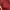 H&M Casual Blouse Wanita burgundy red photo 2